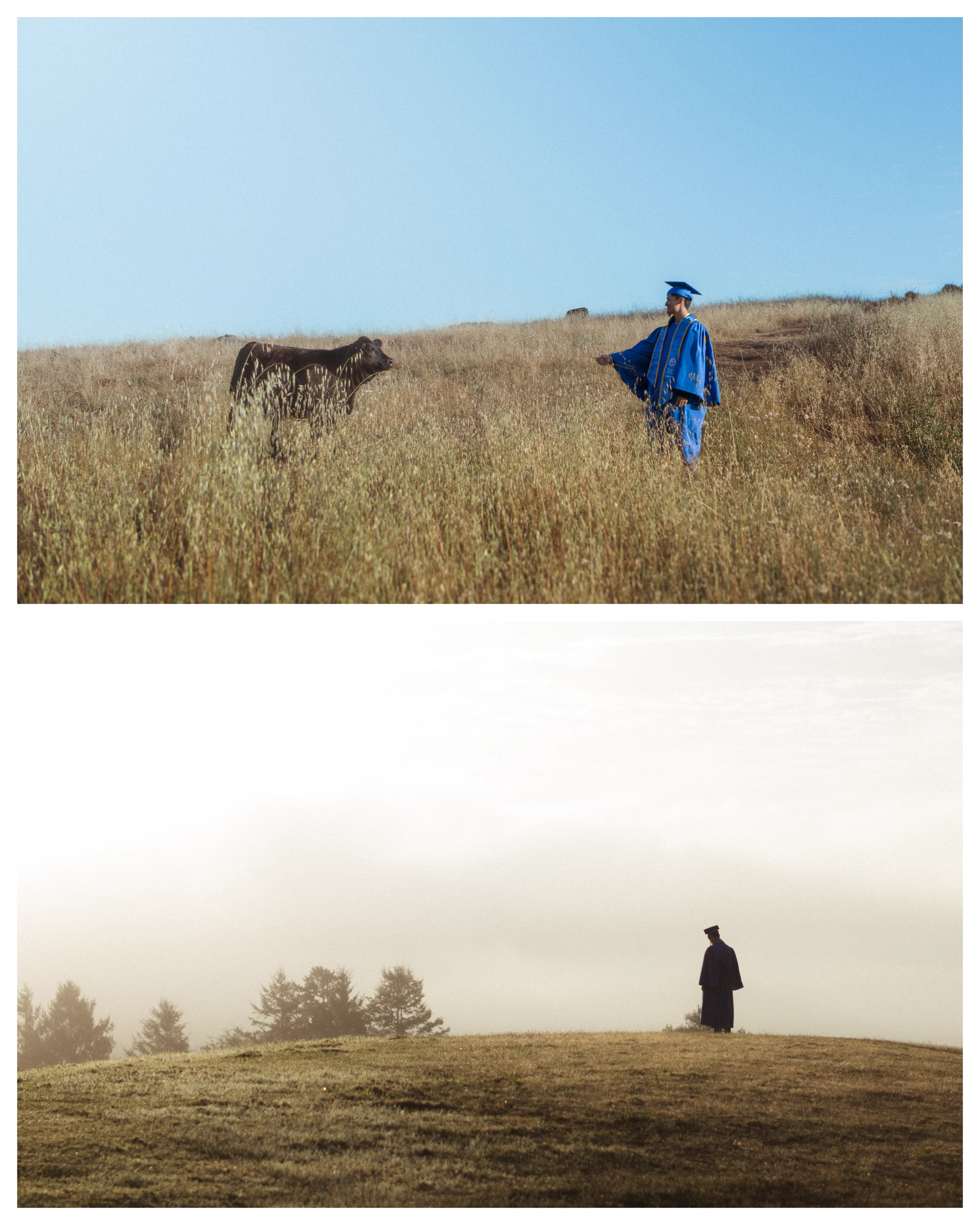 A pair of photographs shows the graduate near a grazing cow and silhouetted on an open grassy ridge.