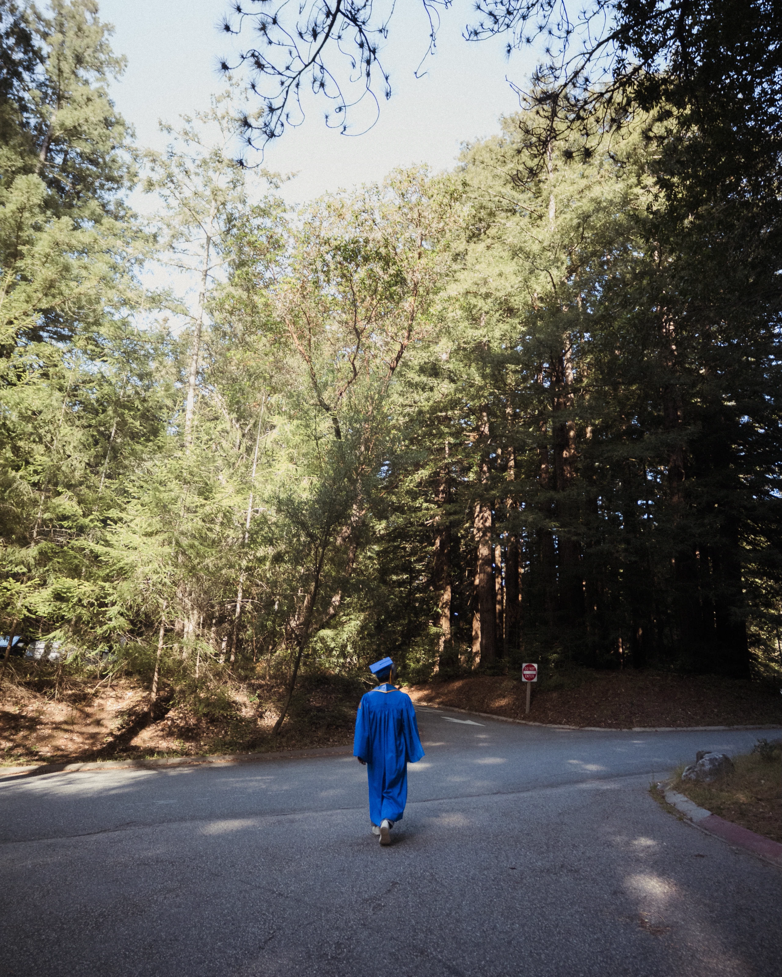 The graduate walks away along a paved path into a stand of tall trees.